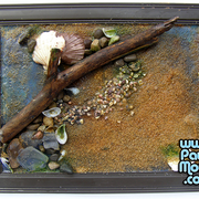 Beach_5_card