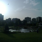 Foto_raf1604_card