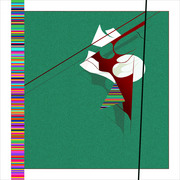 13_71_net_card