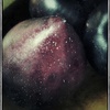 Plum_thumb