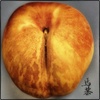 Peach_thumb