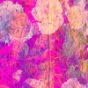 Patterns9b_thumb