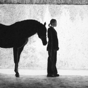 Charcoal_horse_silhouette_640_card