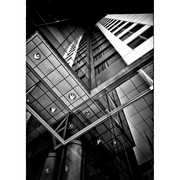 David_pecaut_square_toronto_canada_card