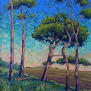 Trees__card