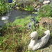 2013_004_square