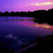 _mg_2246_card