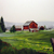 Apulia_farm_fin_001_tiny_square