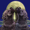 Wolf_cub_moon_3c_567_thumb