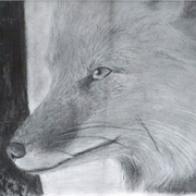 Wise_old_fox_by_ohsofoxy-d5j58nb_card