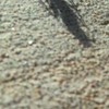 102_0355_thumb