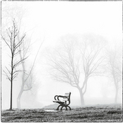 Bench_card