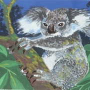 Koala_1_card