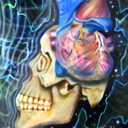 Intuitive2_card