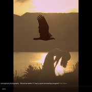 Image_card