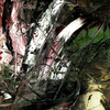 299_______eye________21x21oil_______2012