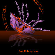 Das_coleoptera_poster_augustusart_new_card
