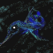Swordfish_prof_card