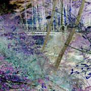 102_4028_card