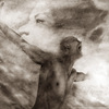 Rondine6_copy_thumb