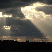 002sf081shaftsoflight_card