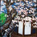 Hiratsuka_temple_-_spring_square