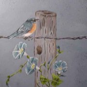 Bluebird_card