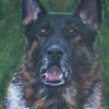 Dog_thumb