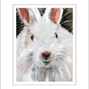 Whiterabbit_card