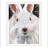Whiterabbit_thumb