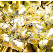 Transparent_summer_card