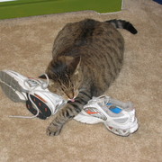 Picture_217_card