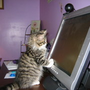 Picture_356_card