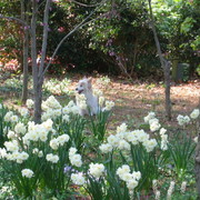 Picture_440_card