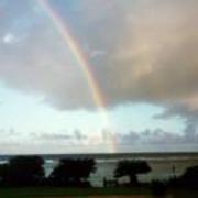 Rainbows_card