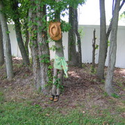 Picture_503_card