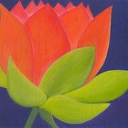 Lotus1_card