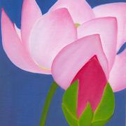 Lotus2_card