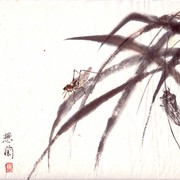 Ch-01-mini_cicadas_on_leaves_card