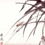 Ch-5-mini_cicadas_on_leaves_card