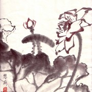 Ch-21-mini-lotus_card
