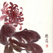Ch-23-mini_red_chrysanthem_card