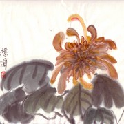 Ch-24-mini-golden_chrysanthemum_card