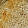 _dsc3391copiar_thumb