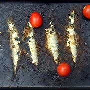 Traces_card