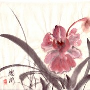 Ch-28-mini_orchid_card