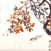 Ch-41-mini-_orange_bouganvillea_with_cicada_card
