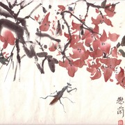 Ch-42-mini_red_bouganvillea_with_grass_hopper_card