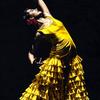 Un_momento_intenso_del_flamenco_thumb