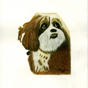 Ec2987_card